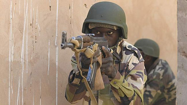 Раскрыта польза переворота в Нигере для России