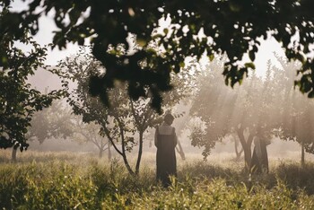 Интрига! &laquo;Онегин&raquo; Сарика Андреасяна показал своих героев (фото)