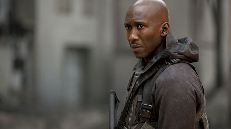 Режиссёр нового &laquo;Блэйда&raquo; выпустит на волю ярость Махершала Али с рейтингом R