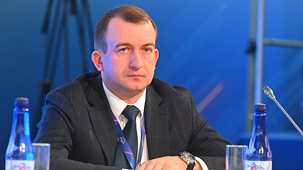 Замглавы Росавиации Потешкина назначили замглавы Минтранса