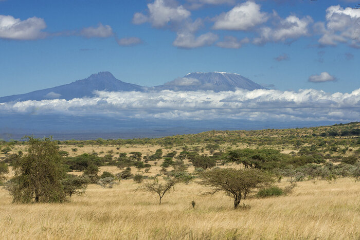 Кения отменит визы для туристов