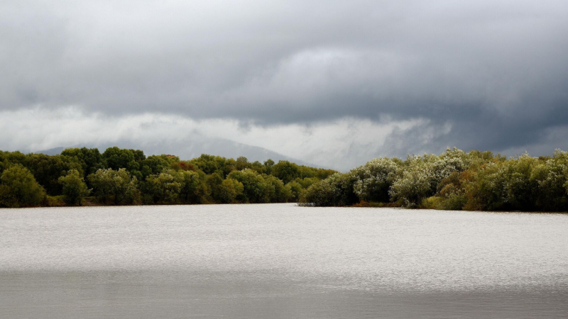Путин поддержал строительство погранперехода на Большом Уссурийском