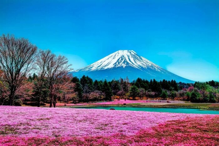 Восхождение на&nbsp;гору Фудзи сделают платным