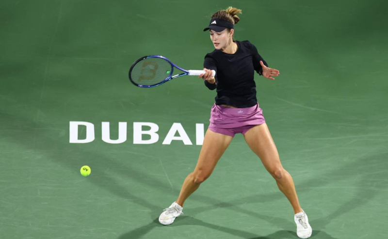 Россиянка победила третью ракетку мира в четвертьфинале турнира в Дубае