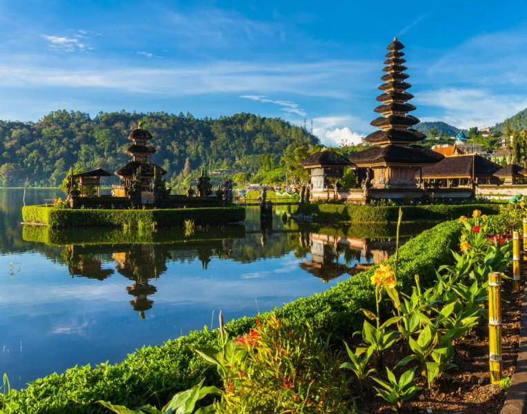 Этой зимой россияне совершали спонтанные поездки в Новороссийск и на Бали